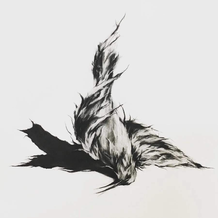 rachel-gardner-charcoal-FromSkytoEarth.JPG