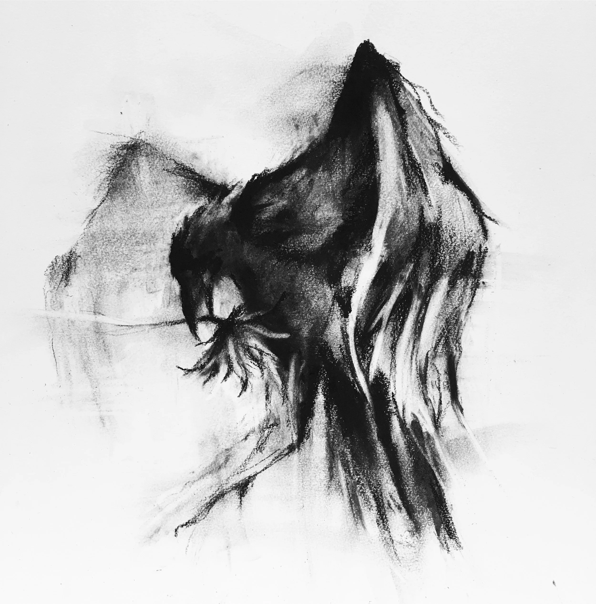 rachel-gardner-charcoal-TakingFlight.JPG