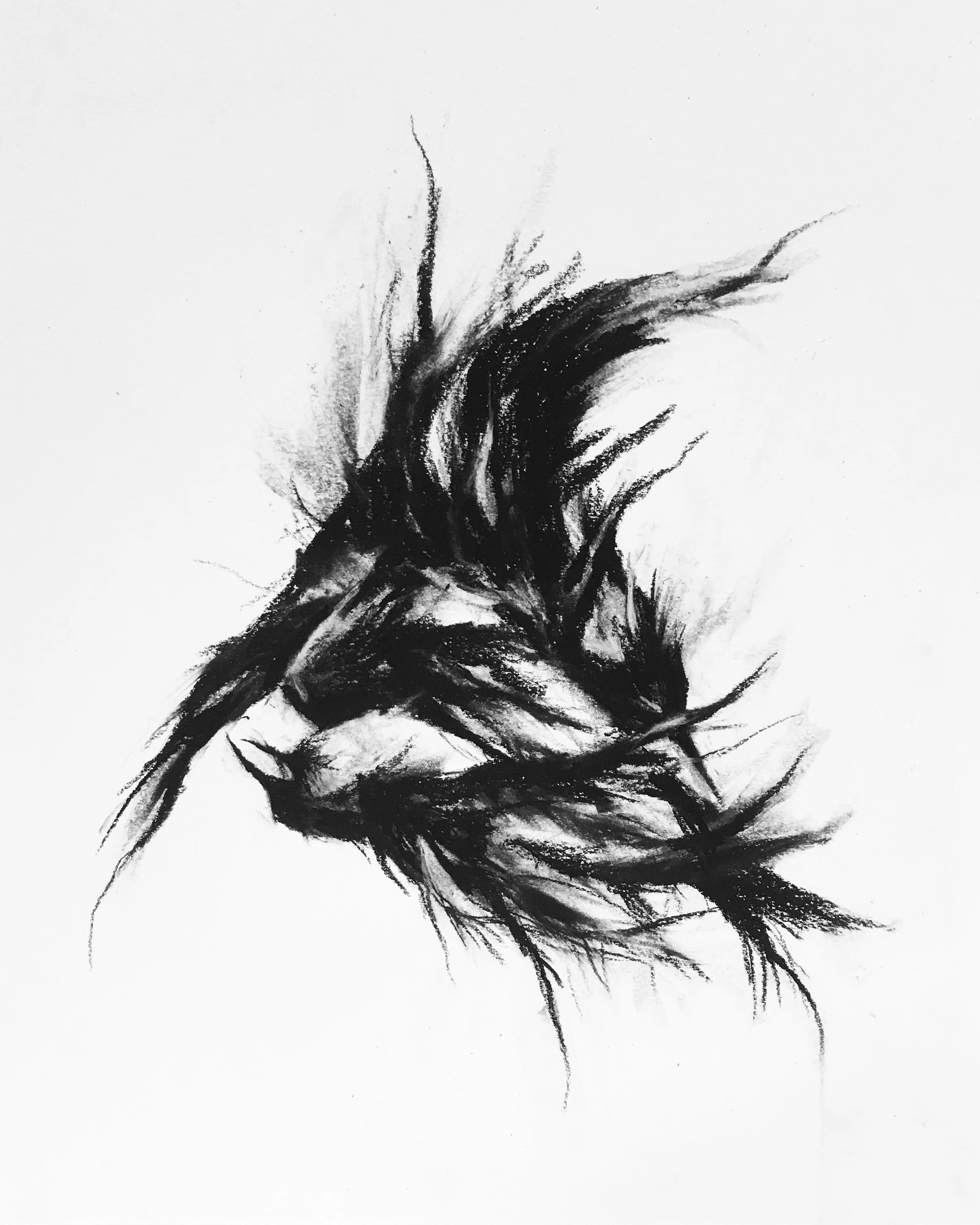 rachel-gardner-charcoal-AGracefulDescent.JPG