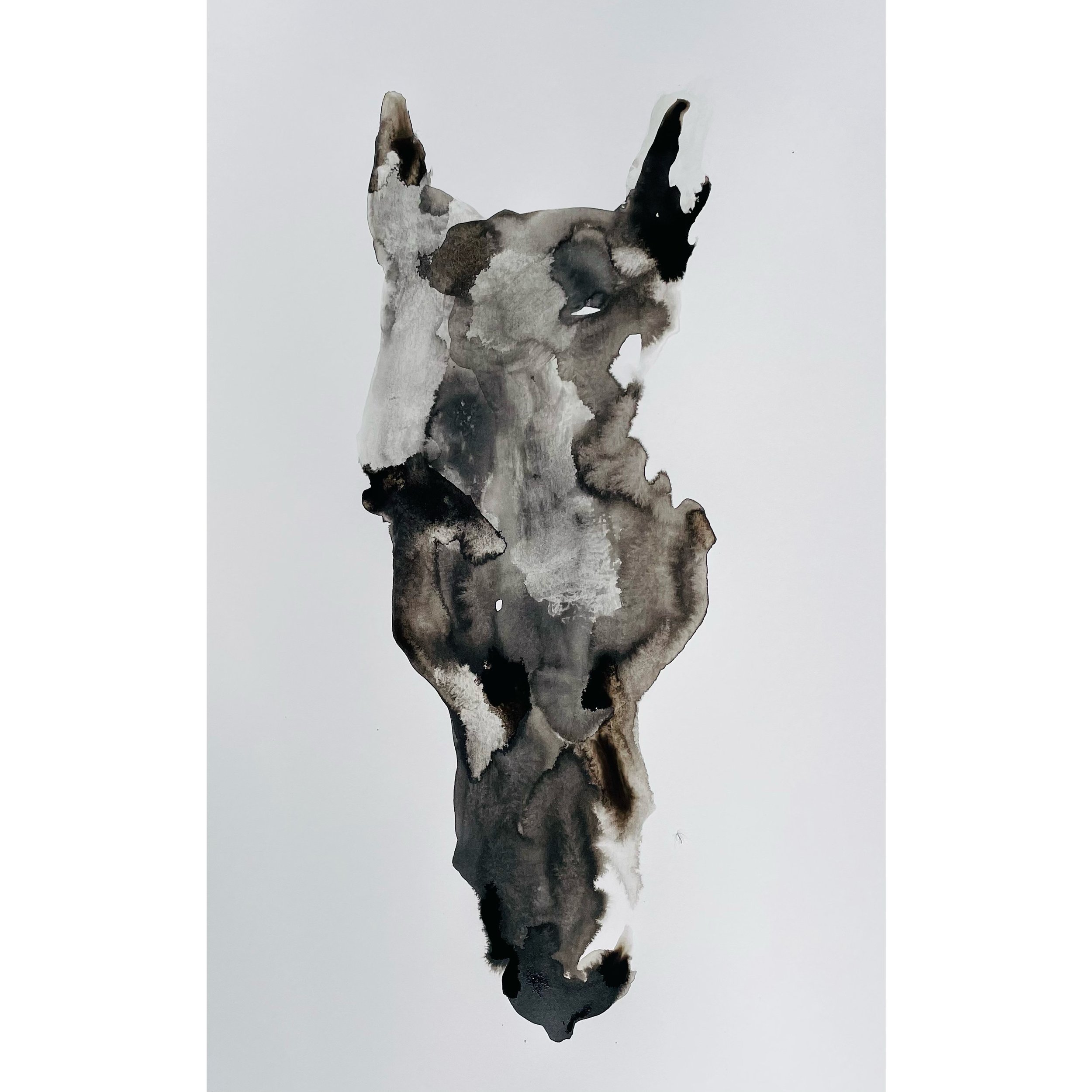 rachel-gardner-InkPainting-WildHorse.JPG