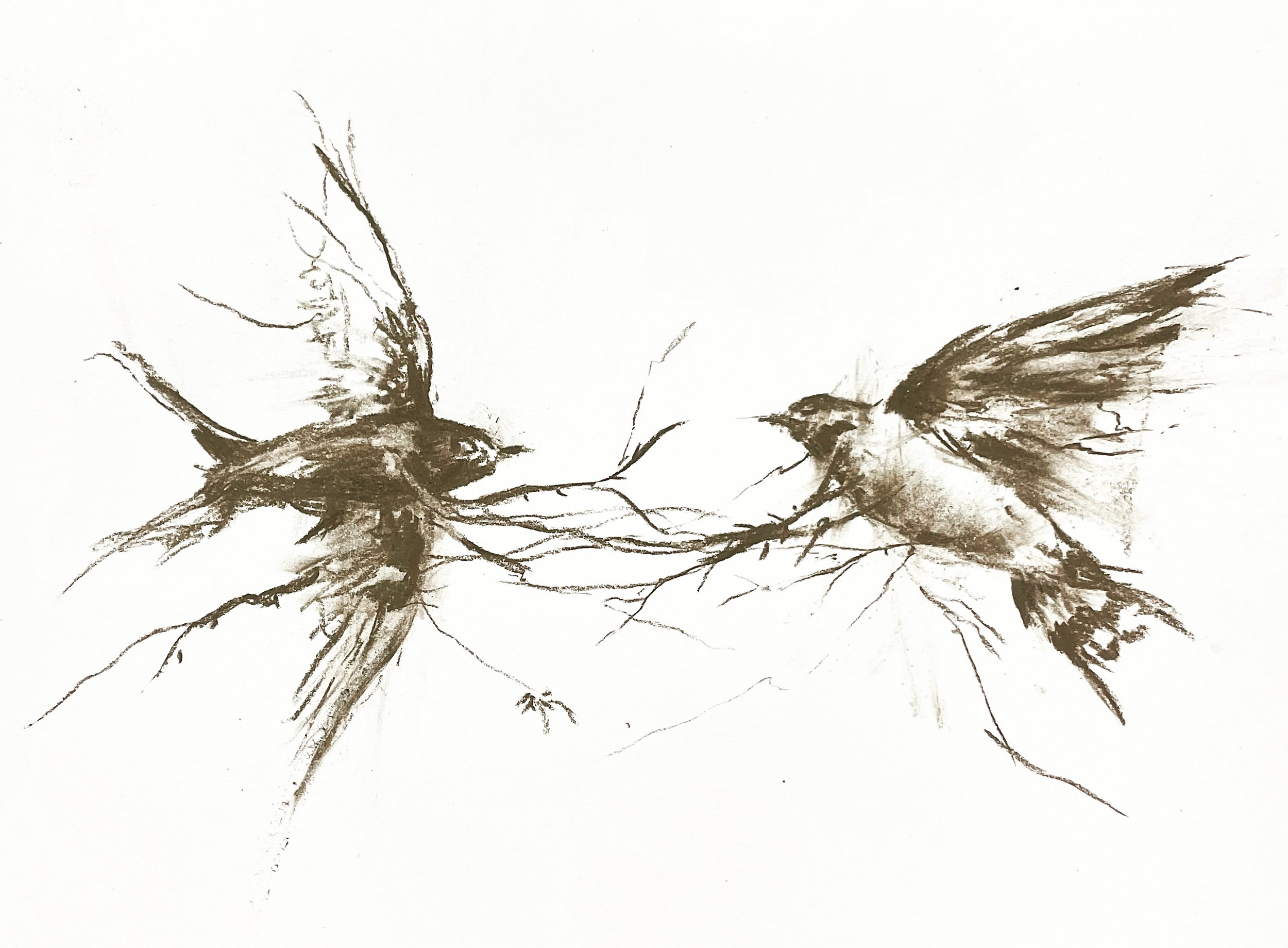 Flying Home_Rachel_Gardner.JPG