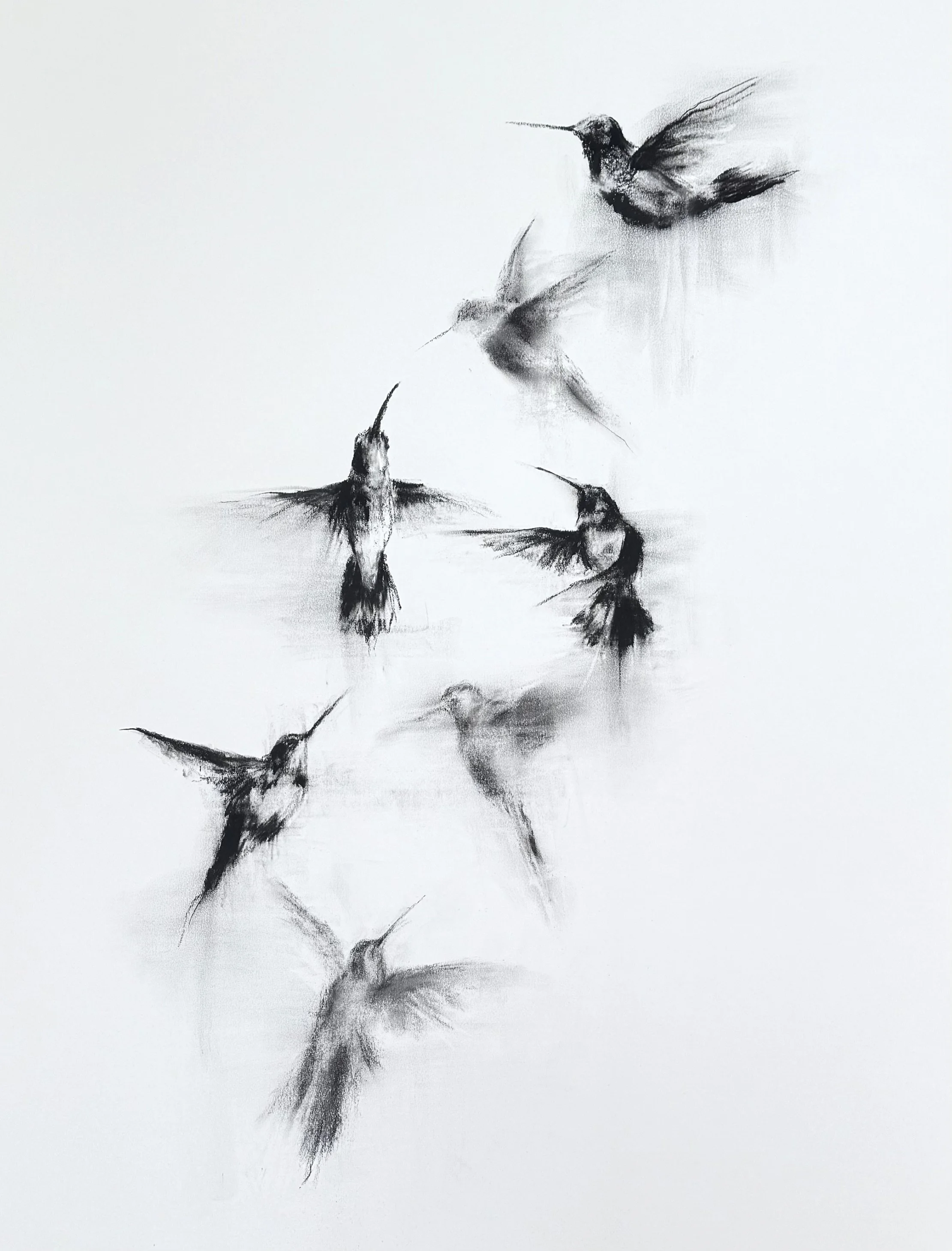 RachelGardner_WhereWeOnceFlew_CharcoalDrawing.jpg