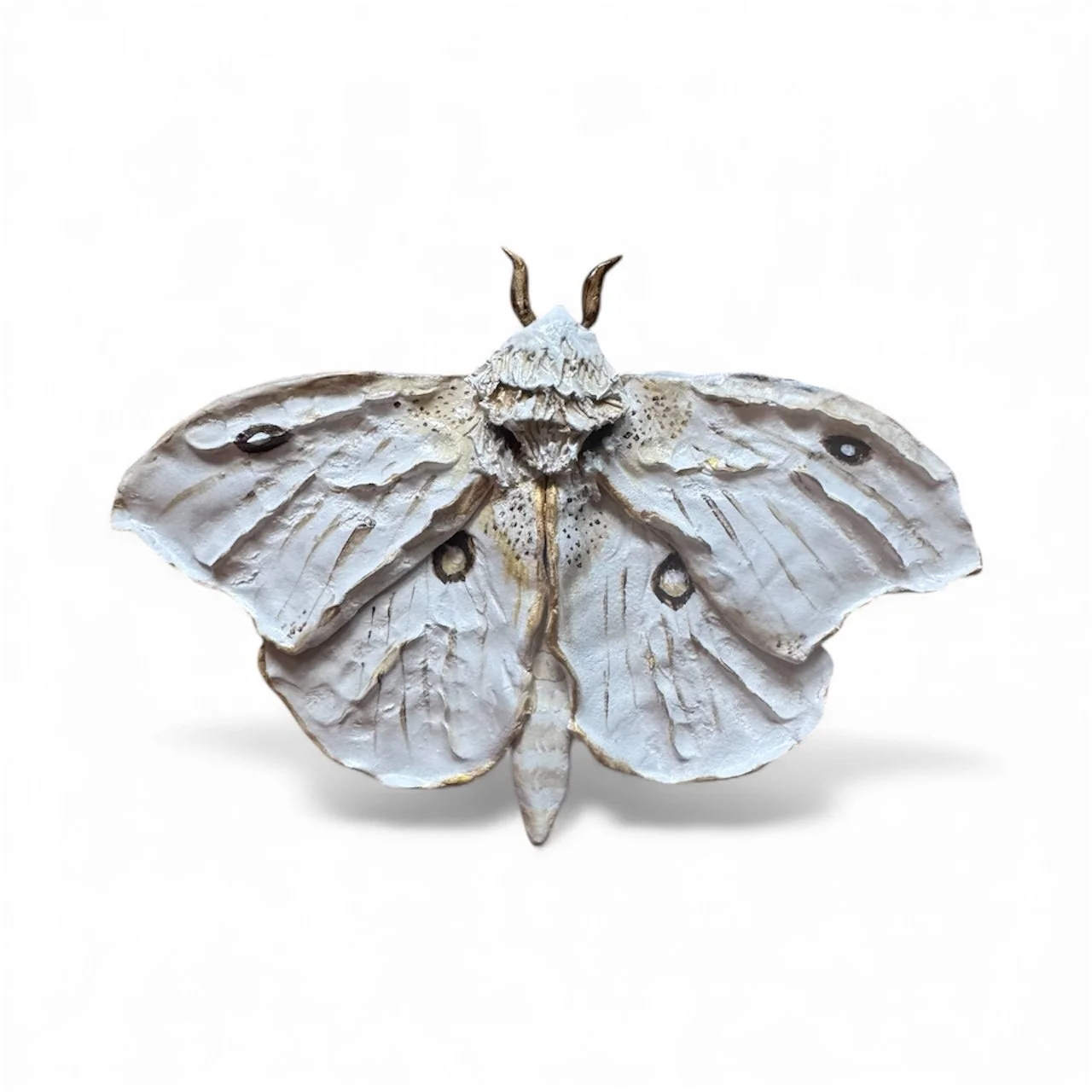 RachelGardner_Moth3.JPG