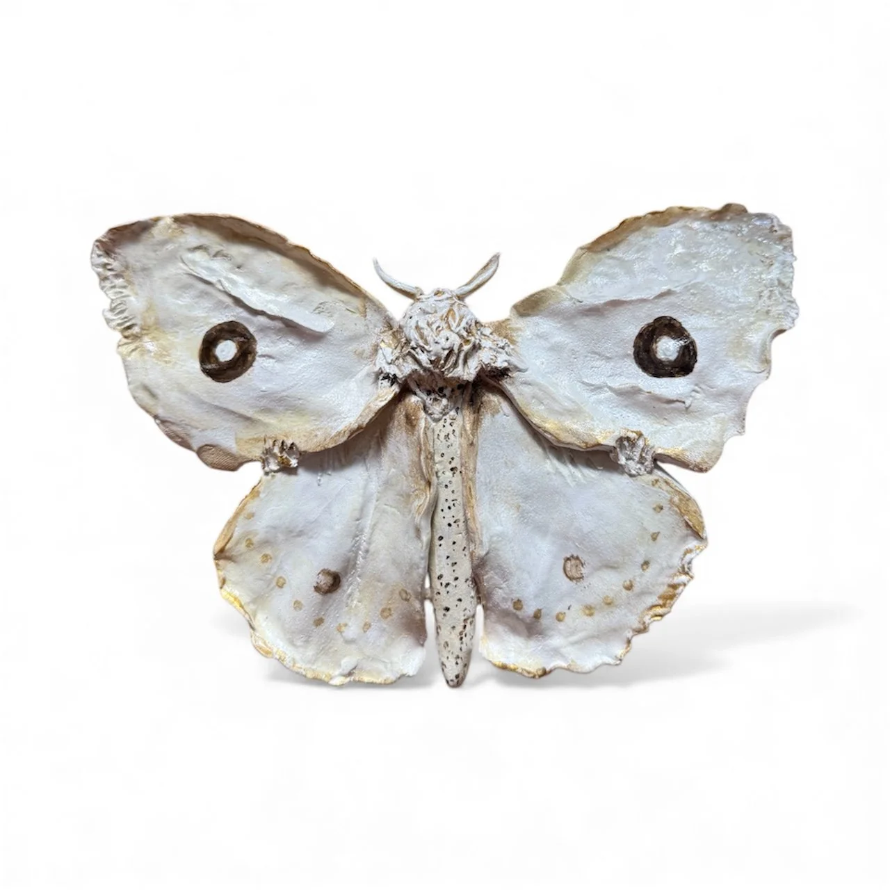 RachelGardner_Moth4.JPG