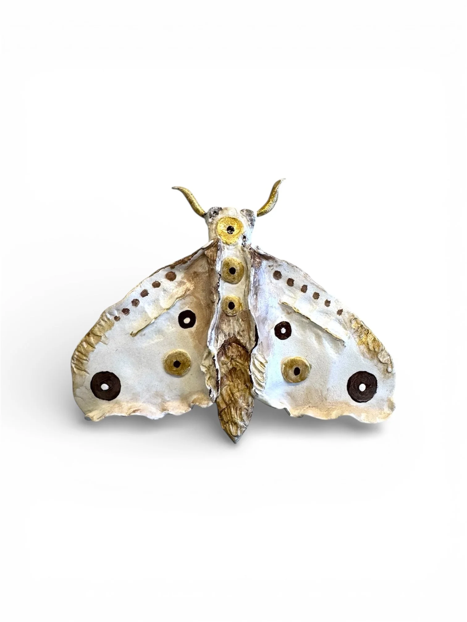 RachelGardner_Moth5.JPG