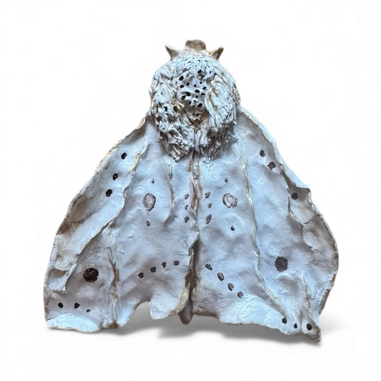 RachelGardner_Moth6.JPG