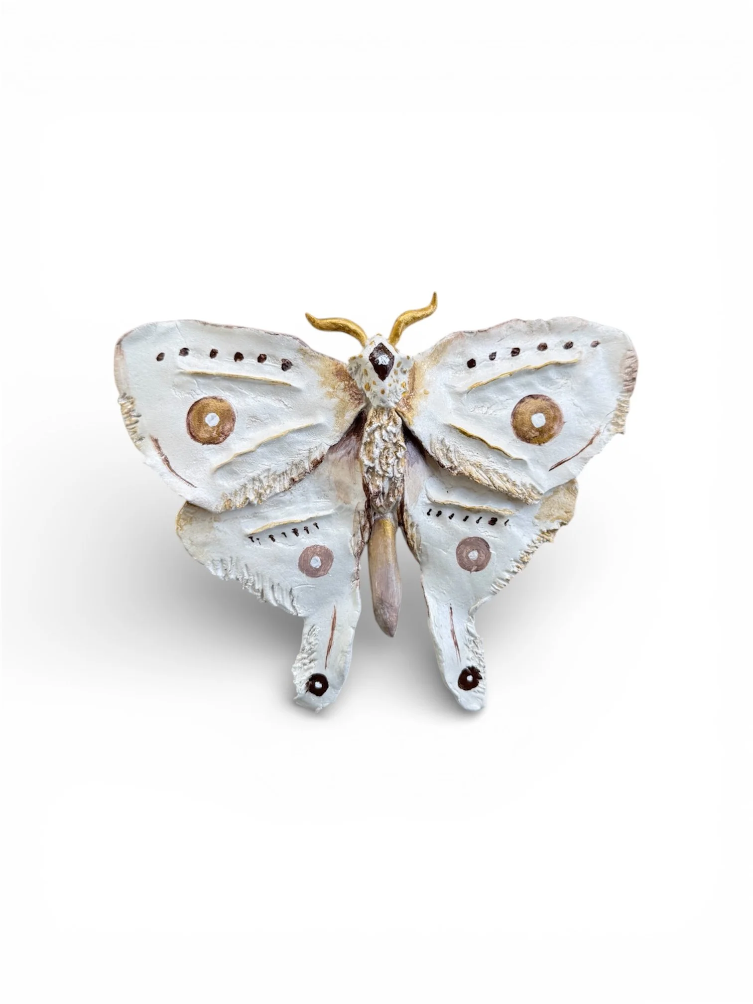 RachelGardner_Moth7.jpg