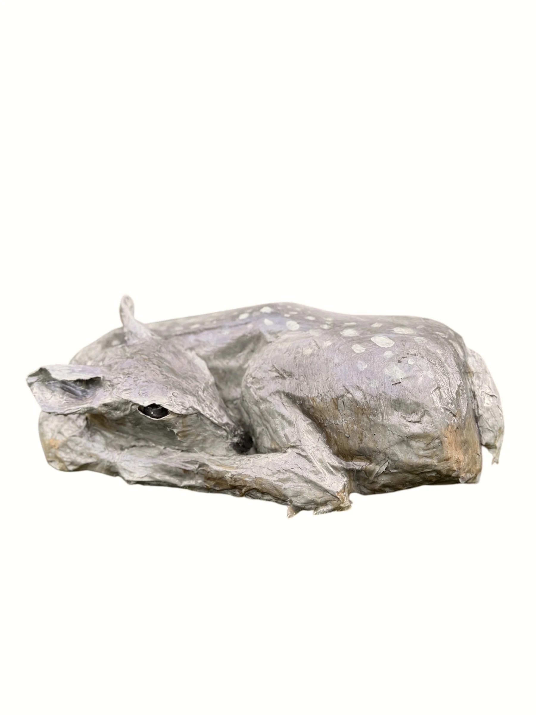 RachelGardner_Nestled Fawn.jpg