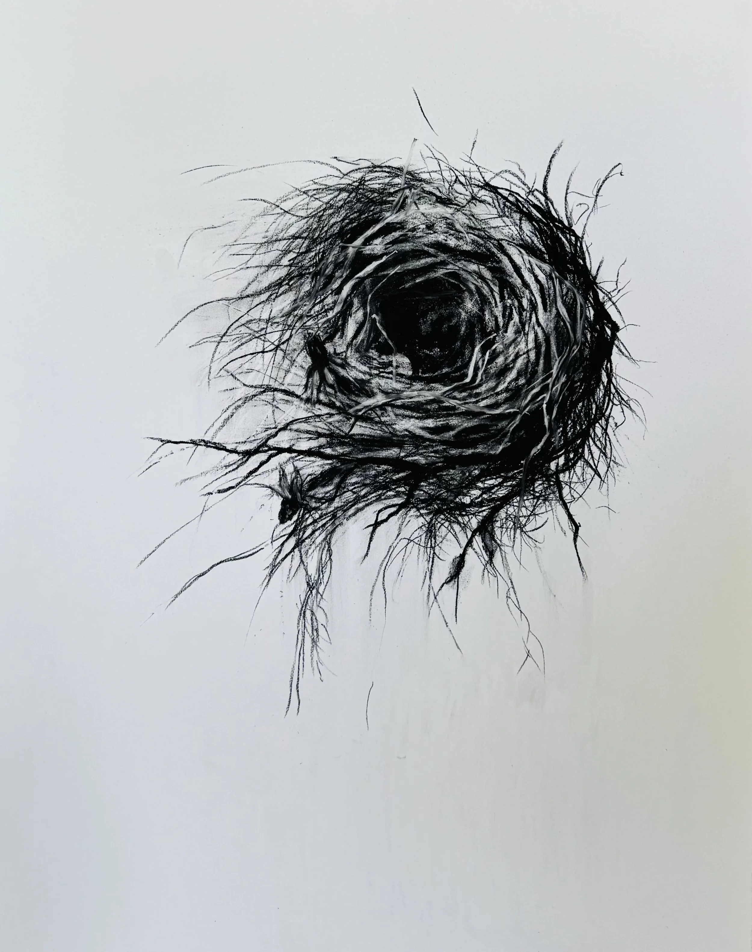 Rachel_Gardner_Charcoal_Drawing_HerNest.jpg