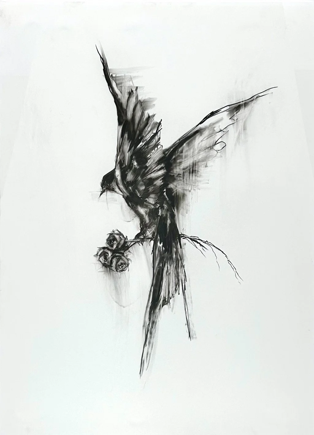 Rachel_Gardner_The Giver (swallow) Drawing.JPG