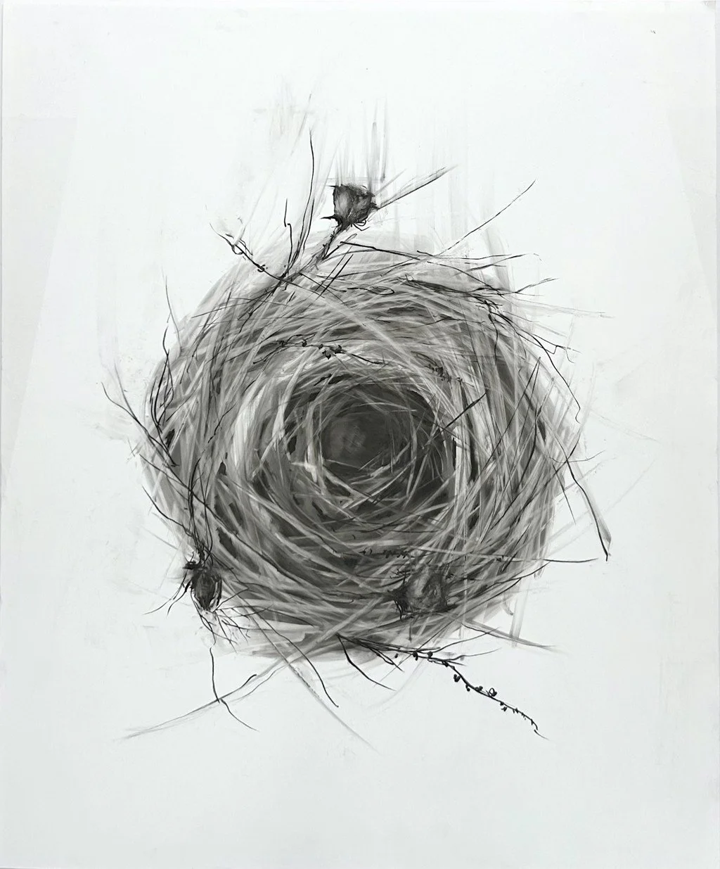 Rachel_Gardner_The Nest Drawing.JPG