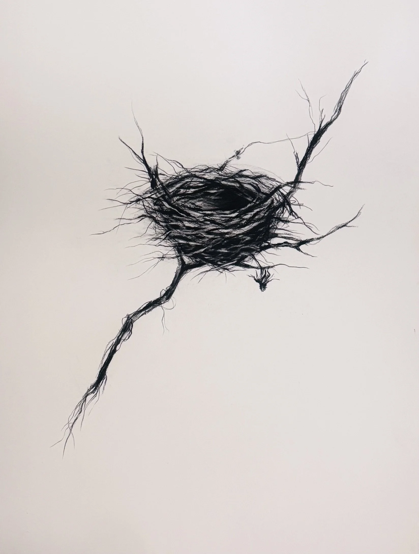 Rachel_Gardner_drawing_Quiet of The Nest.jpeg