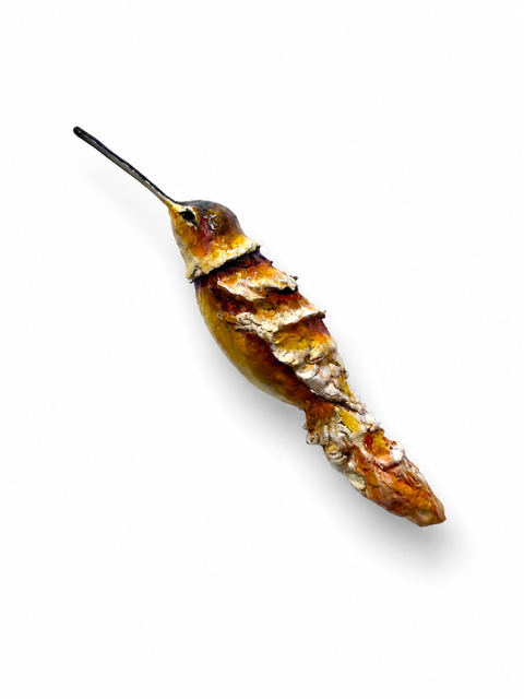 Rachel_Gardner_wallsculpture_Hummingbird 4_wings down.PNG