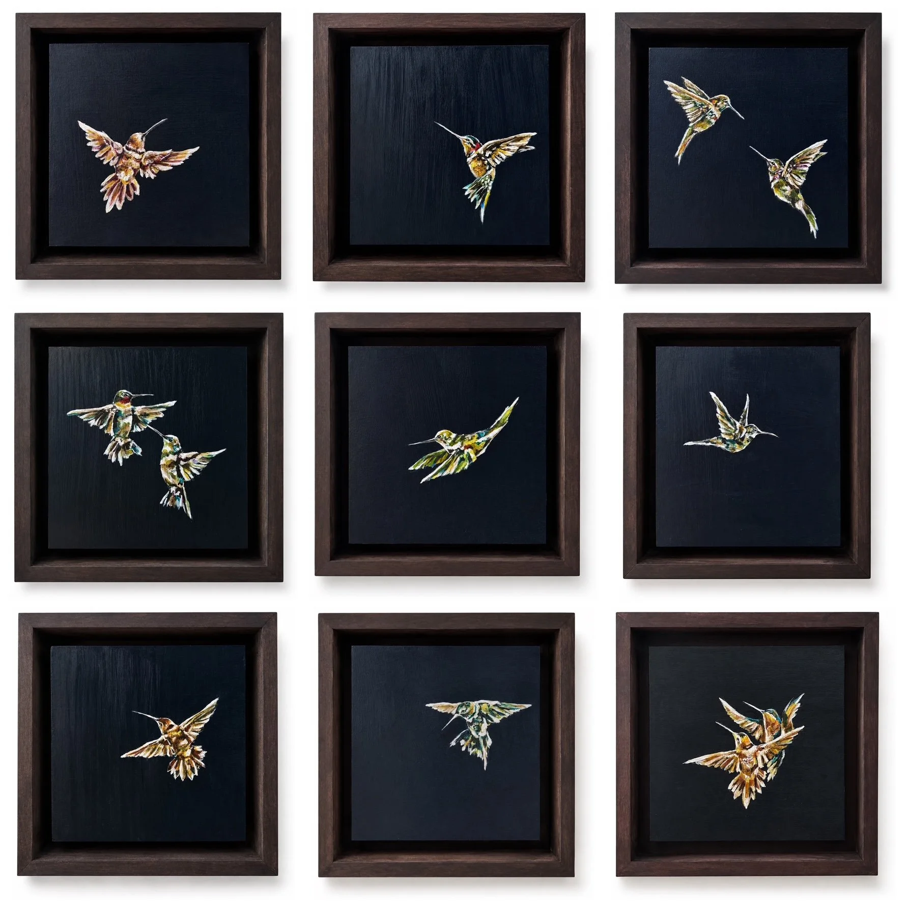 Rachel_Gardner_Hummingbird_paintings_grid.JPG