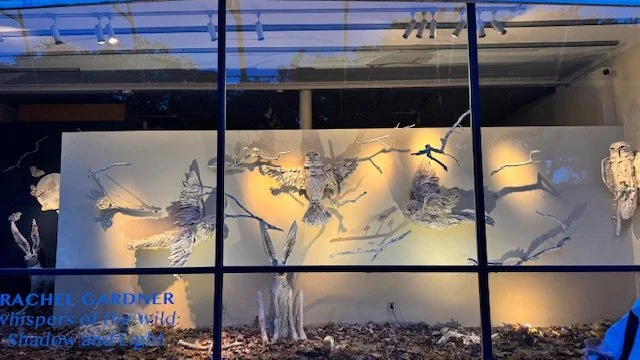 Whispers of the Wild: Shadows and Light on view at Foltz Fine Art January-April 2026