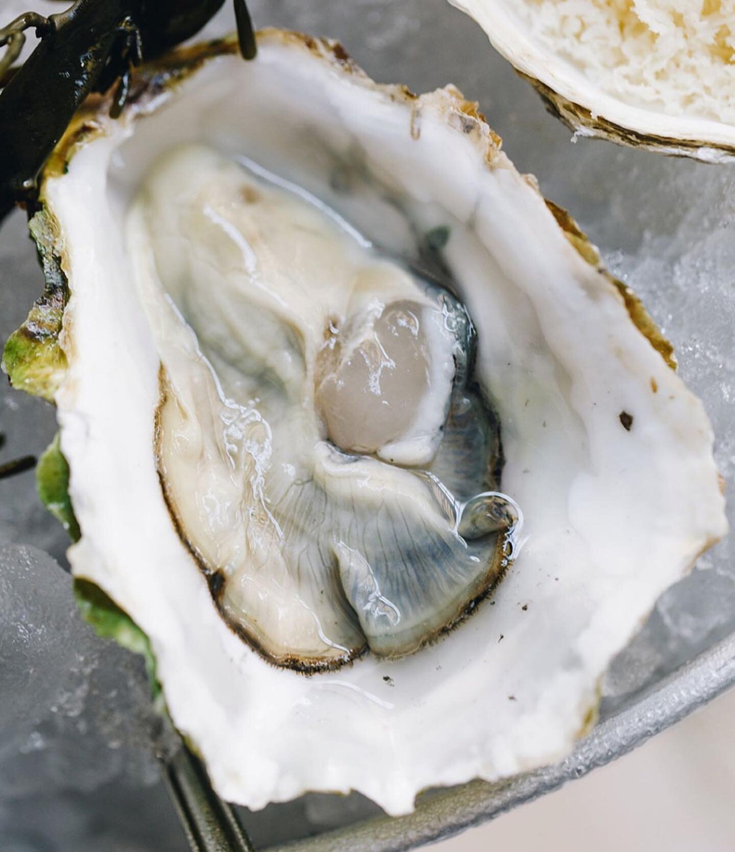 Have you tried our variety of fresh oysters?

Every morning, we prepare the freshest oysters sourced from various areas on the West &amp; East Coast. 
Our sauces are scratch made &amp; prepared in house. 

.
.
.
.
.
#yvr#vancity#VancouverFoodie#white