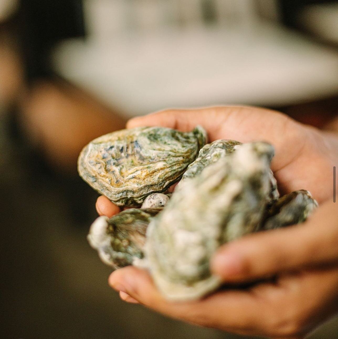 We don&rsquo;t say Summer szn. 

We say Patio, White wine, Fresh Oyster szn.

#YVR#Whiterock#vancouver#BC#southsurrey#langley#vancityeats#yvreats