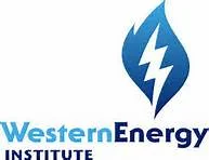 WEI - Operations Business Strategies - Electric