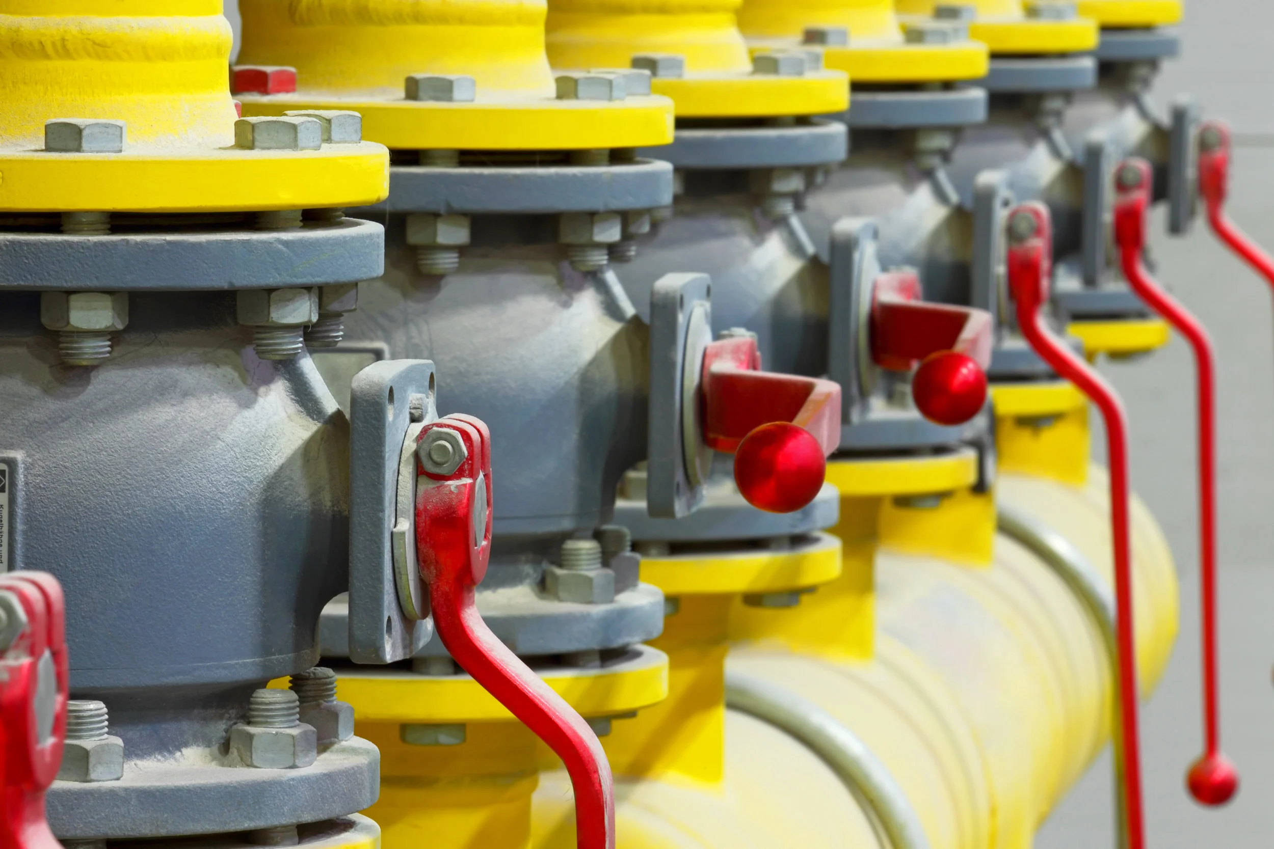 Risk and Performance Assurance