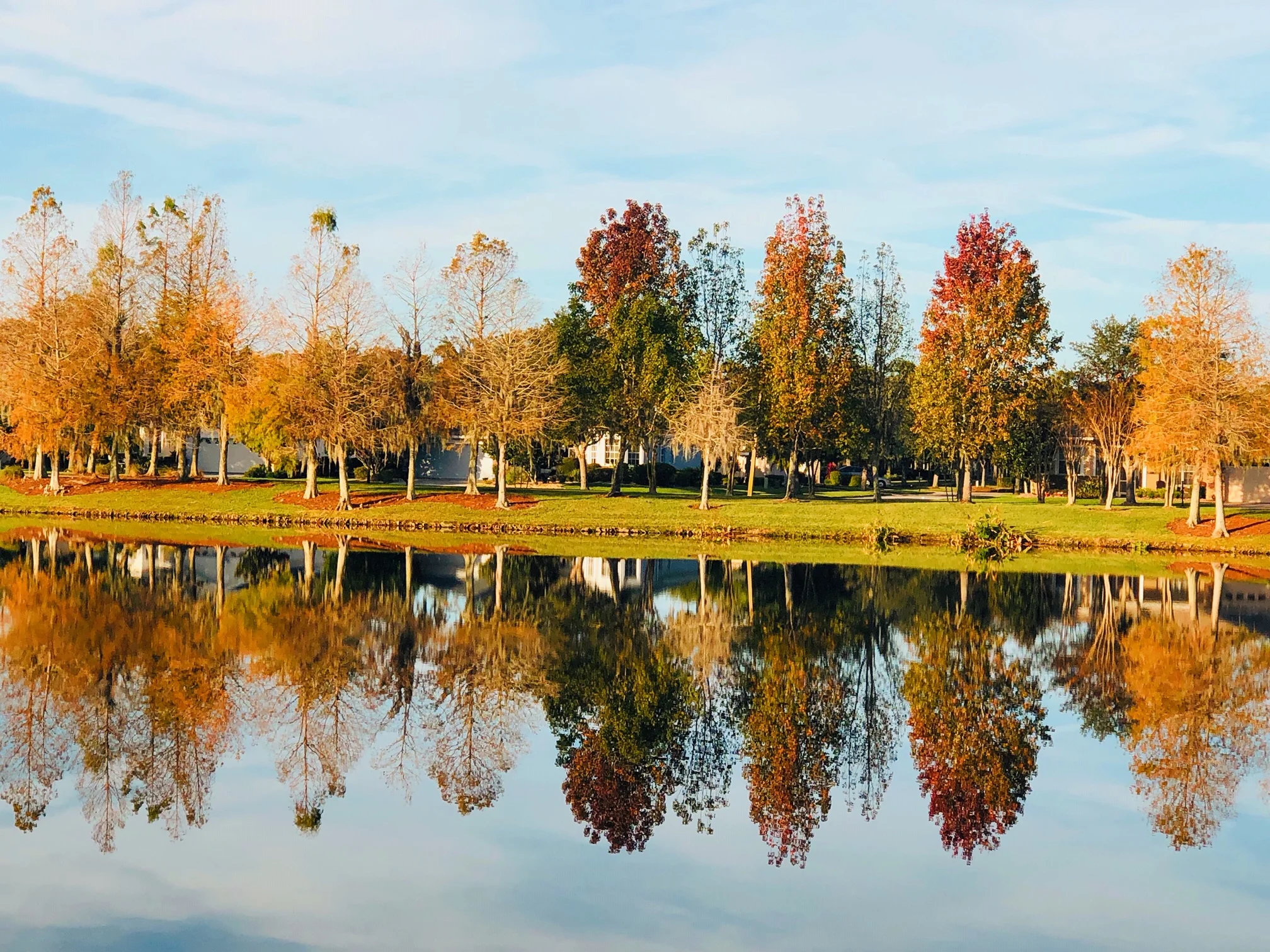 Reflecting on 2018