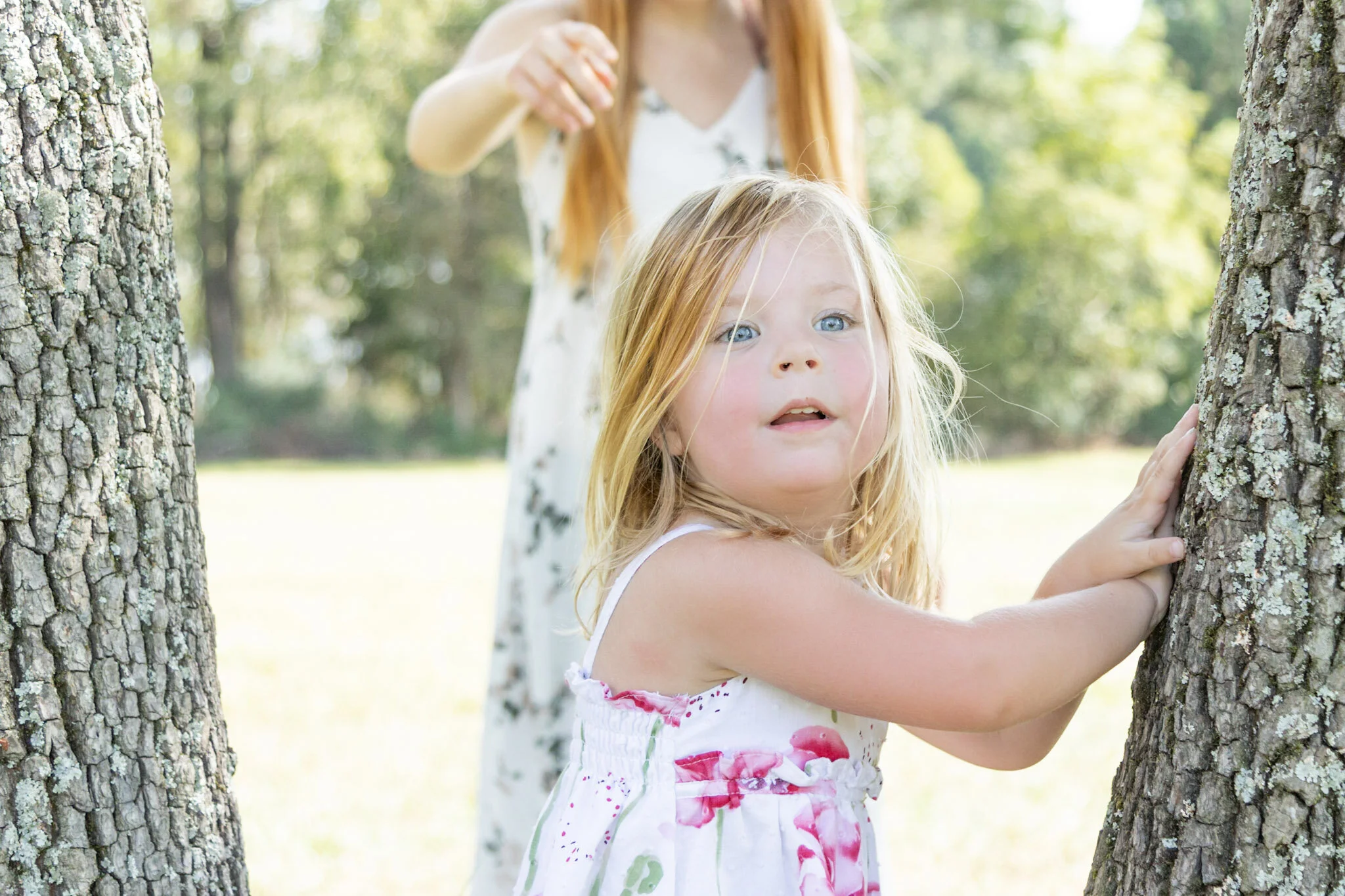 NEW YEAR, NEW DREAMS