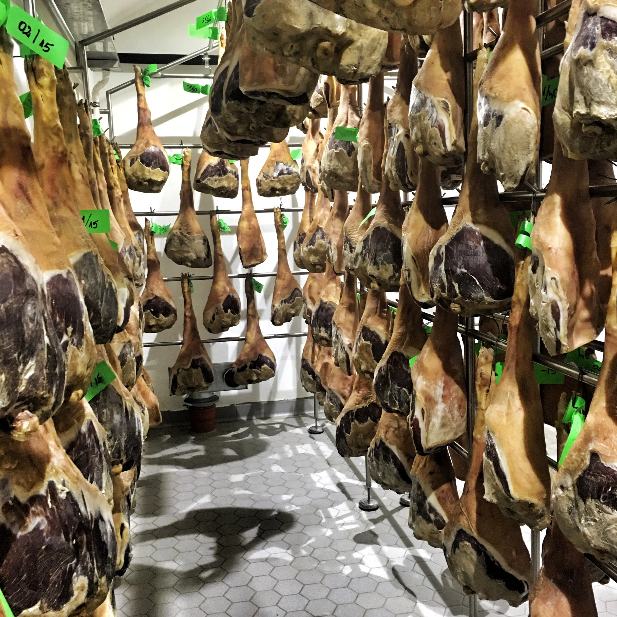 Prosciutto curing room at Steensgaard.