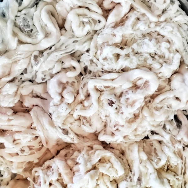 Caul fat soaking in warm water 