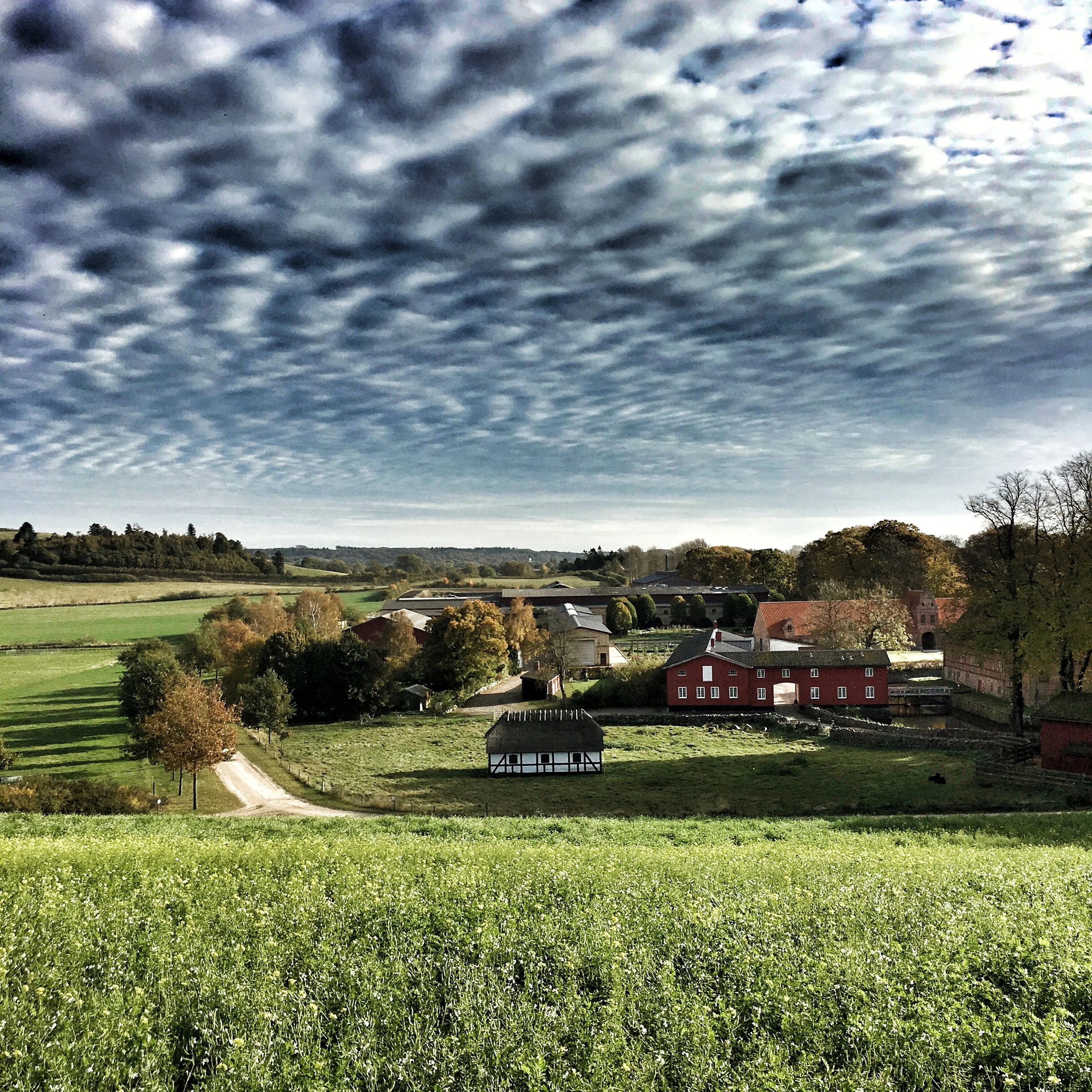 Steensgaard, an organic, self-sustainable farm on the island of Funen, Denmark.