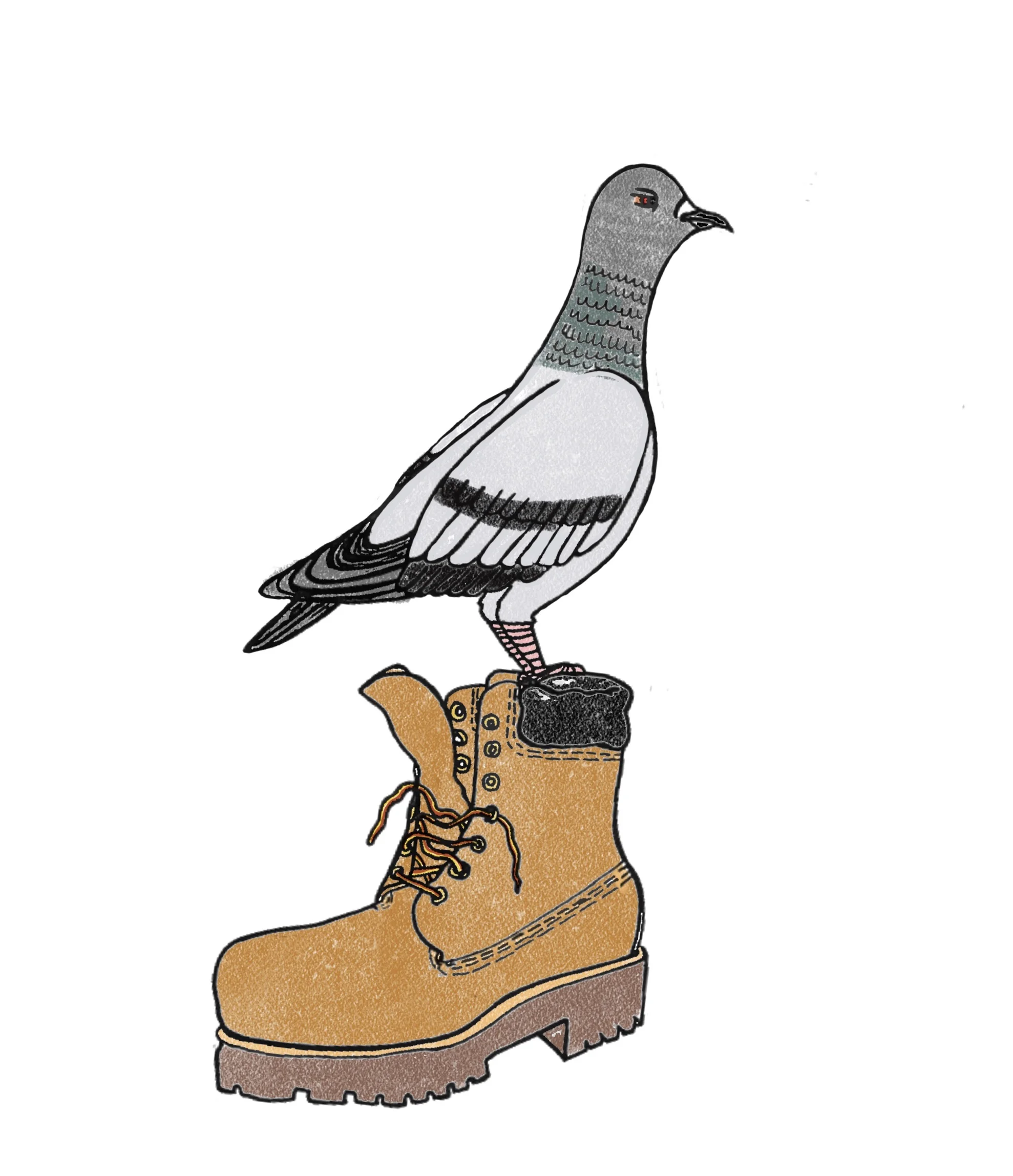 NY still life, 2019ink on paper, colored on Photoshop