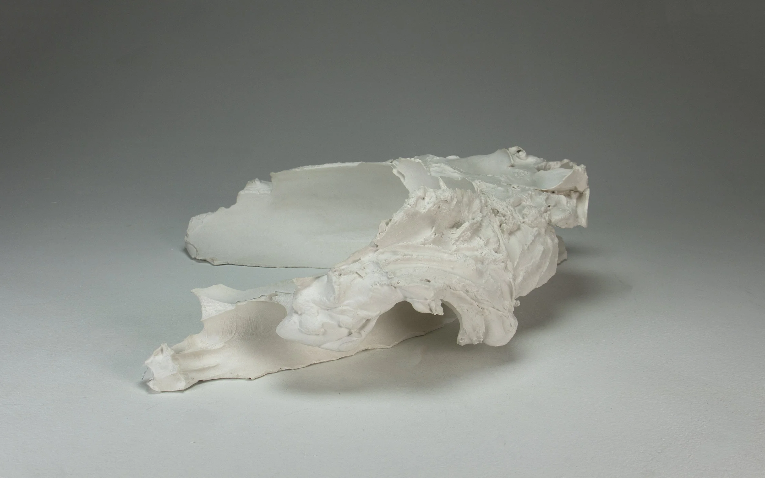    2017  /  hydrocal plaster  /  19” x 15.5” x 7.5”  