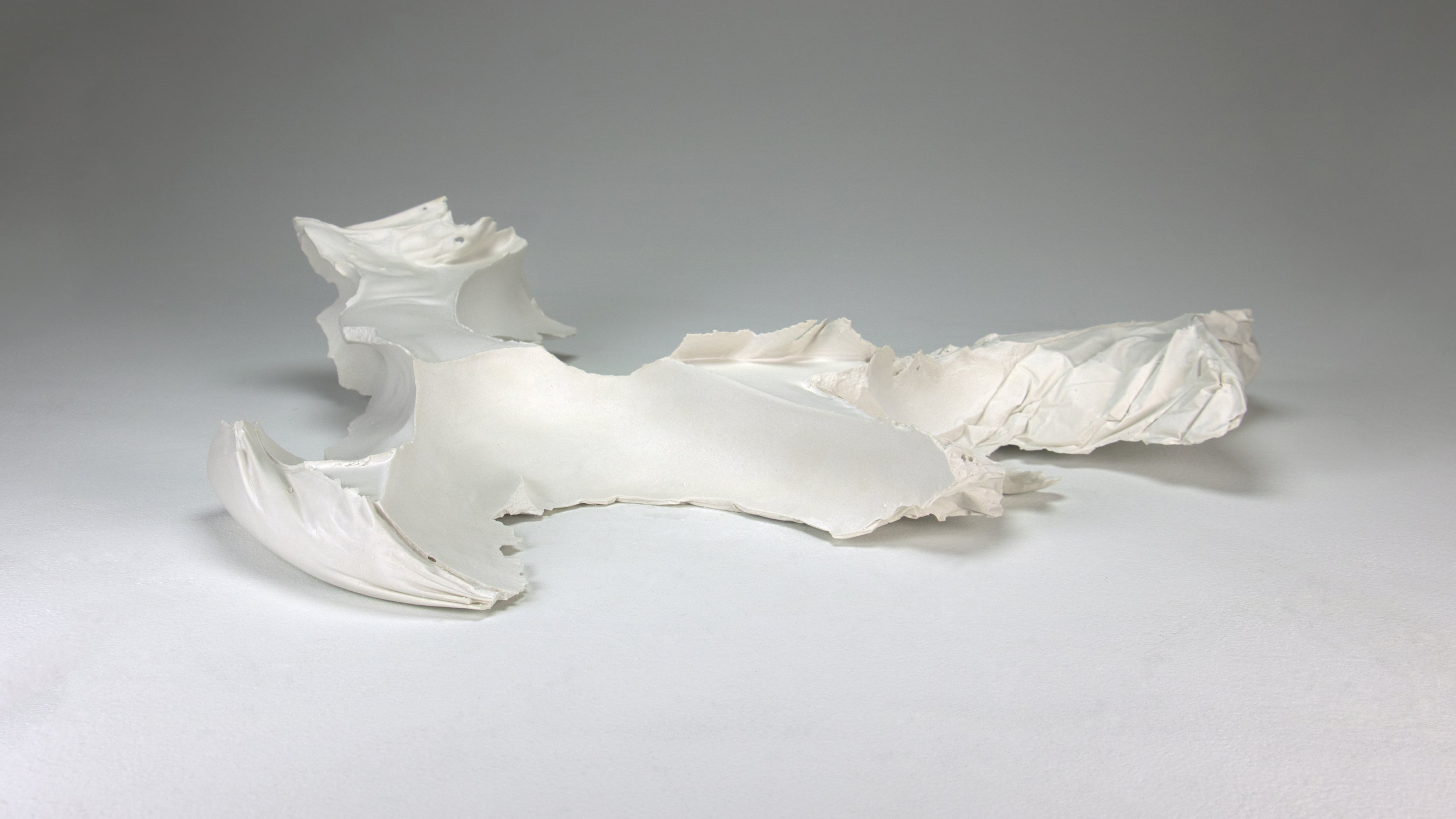  2017 / hydrocal plaster / 21 “x 17” x 6.5”  Collaboration with Carlyn Slagle  