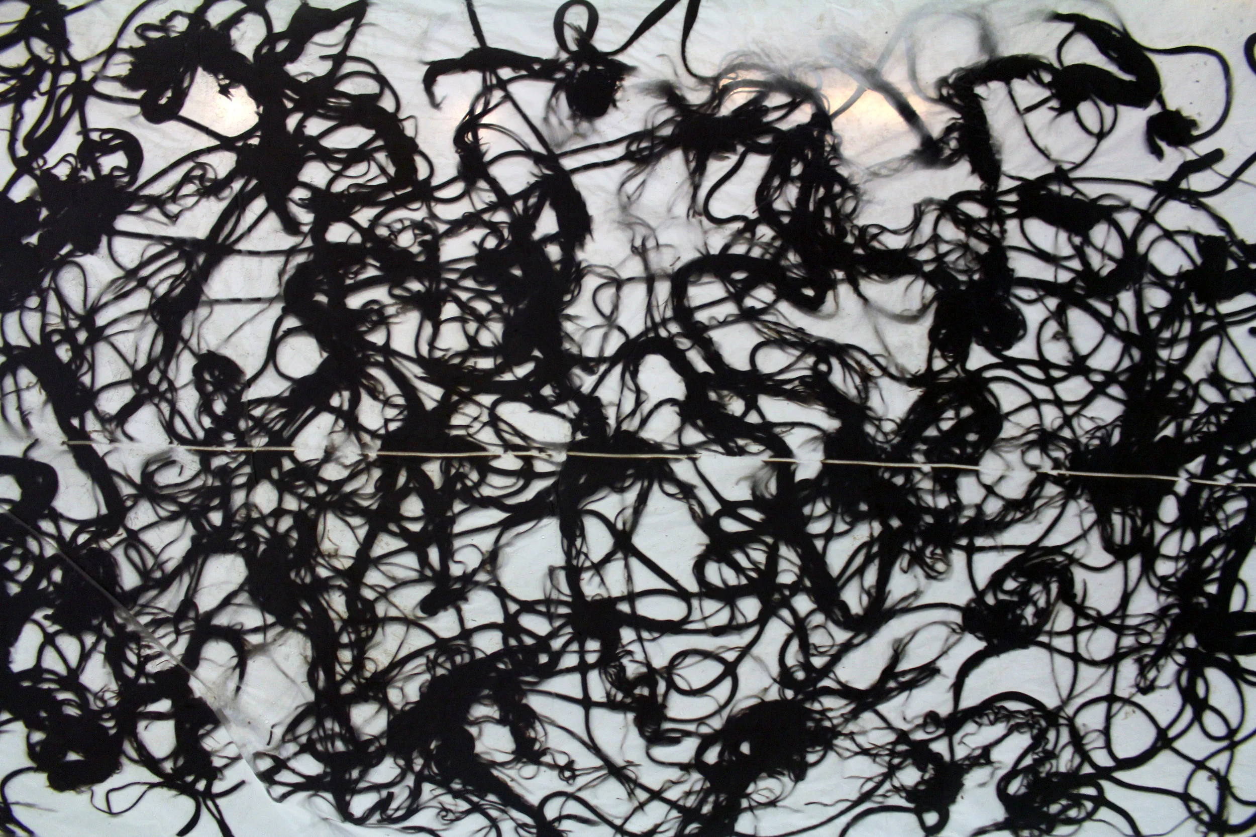 Image2.jpg