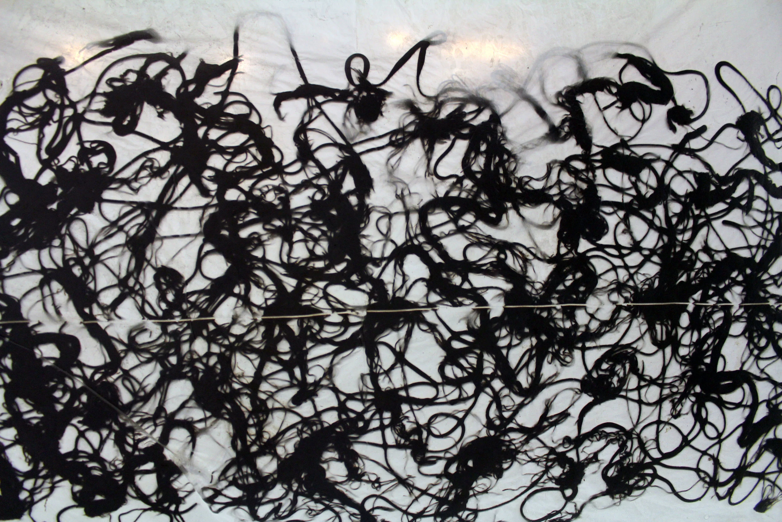 Image3.jpg