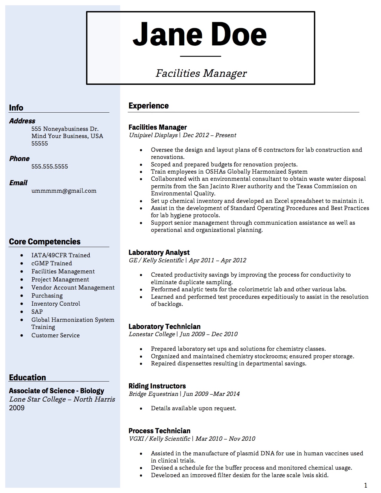 Client Resume #6 pg 1. Click to enlarge.