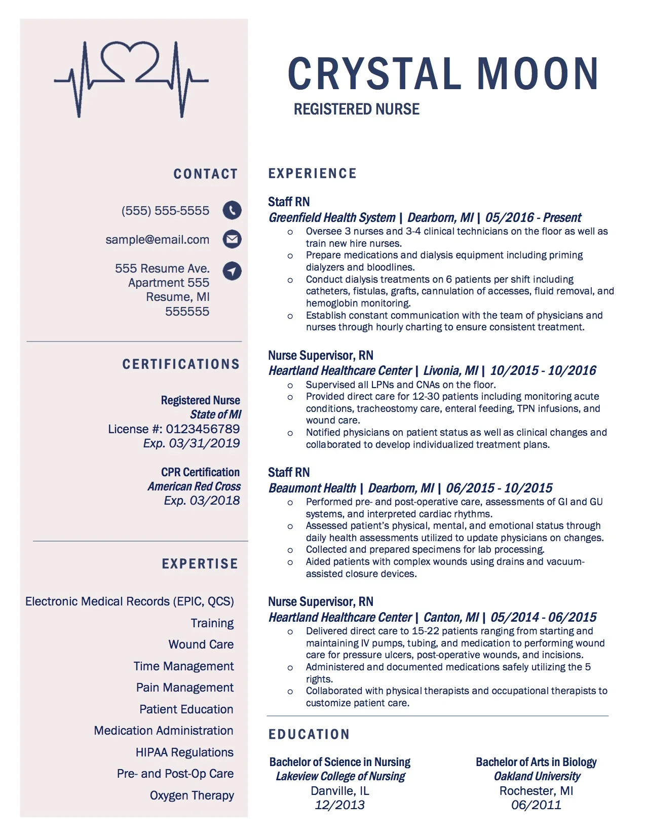Client Resume #12. Click to Enlarge.