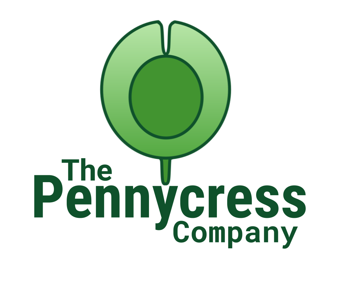 TypeLogo_10_25 (4).png