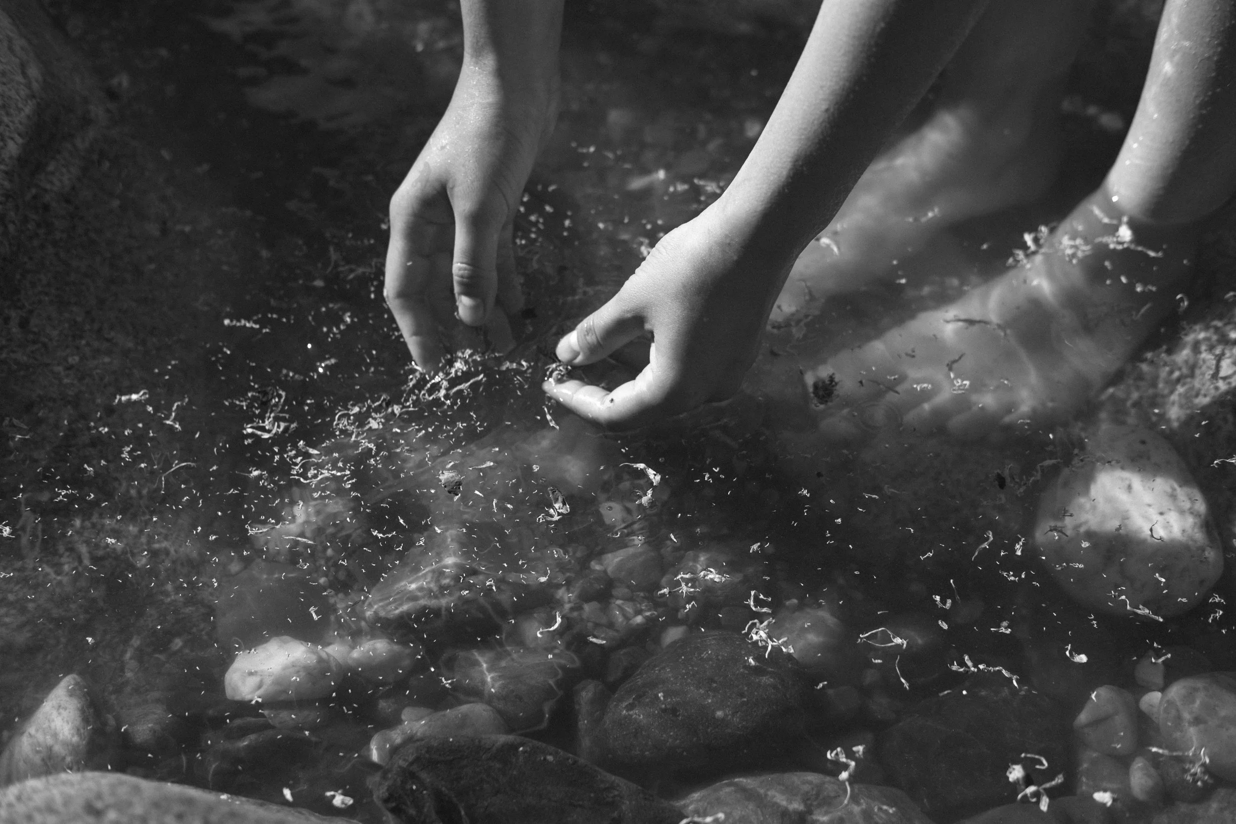 "Every dewdrop and raindrop had a whole heaven within it." - Henry Wadsworth Longfellow