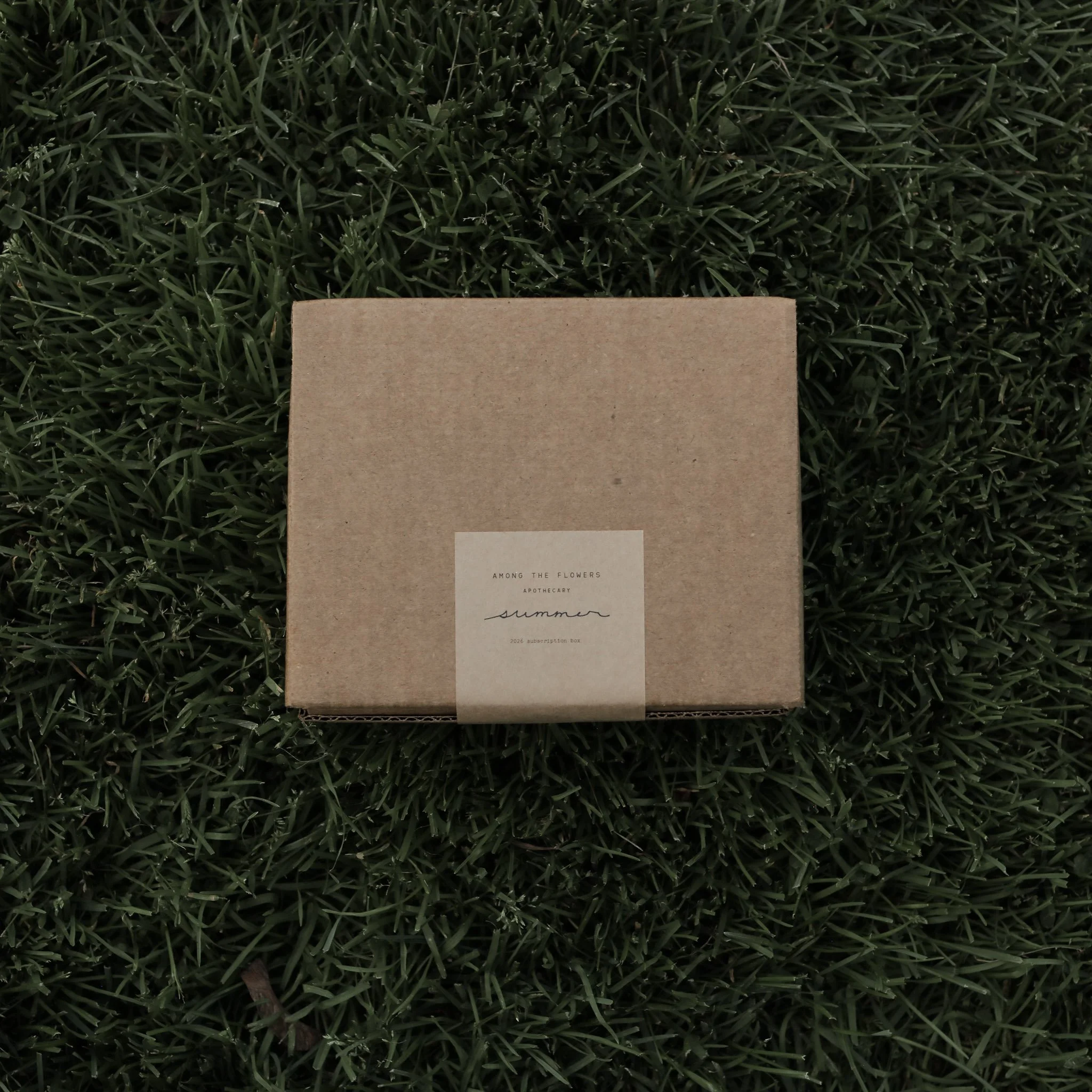 Seasonal Subscription Box | S U M M E R