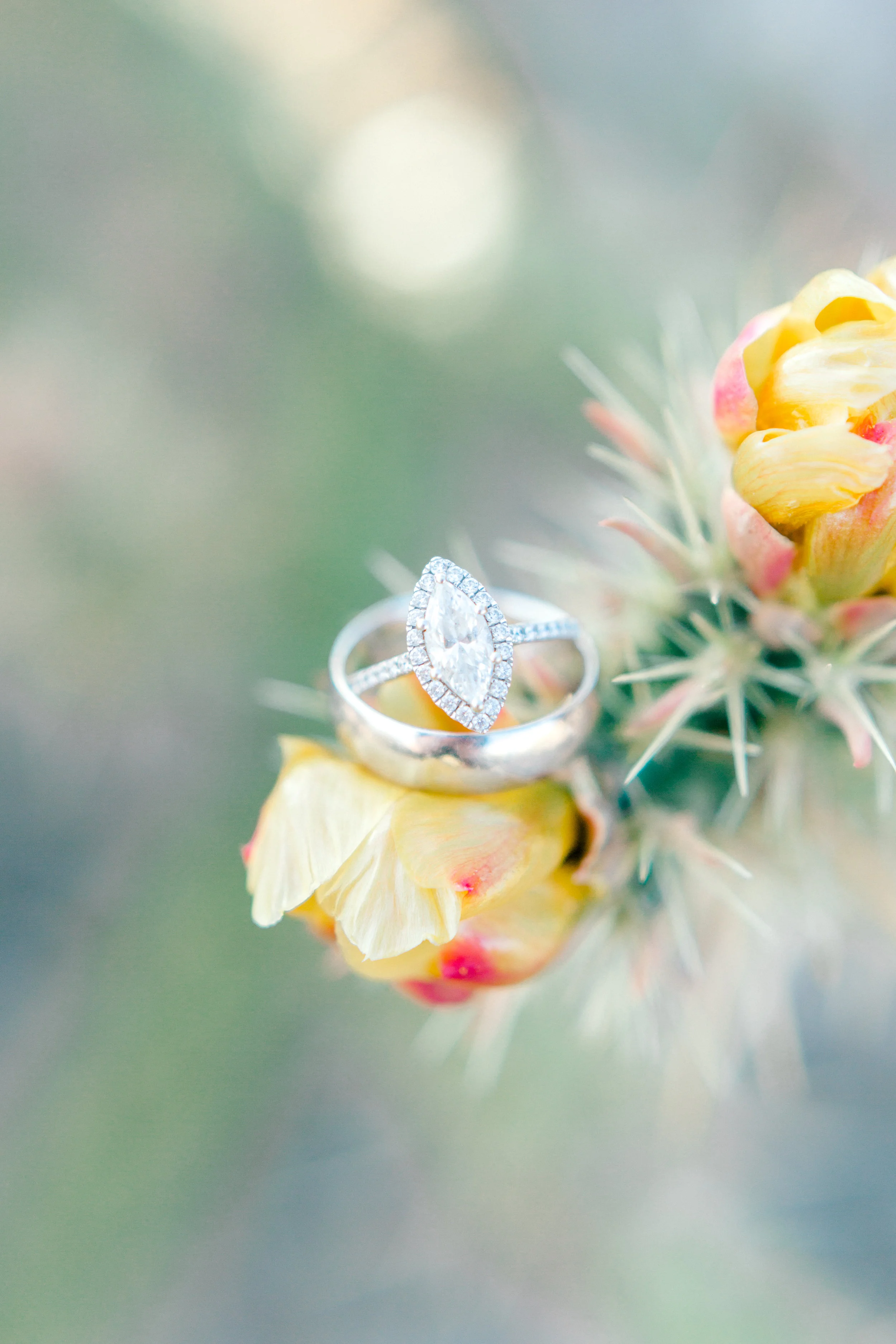 S+KBridals-55.jpg