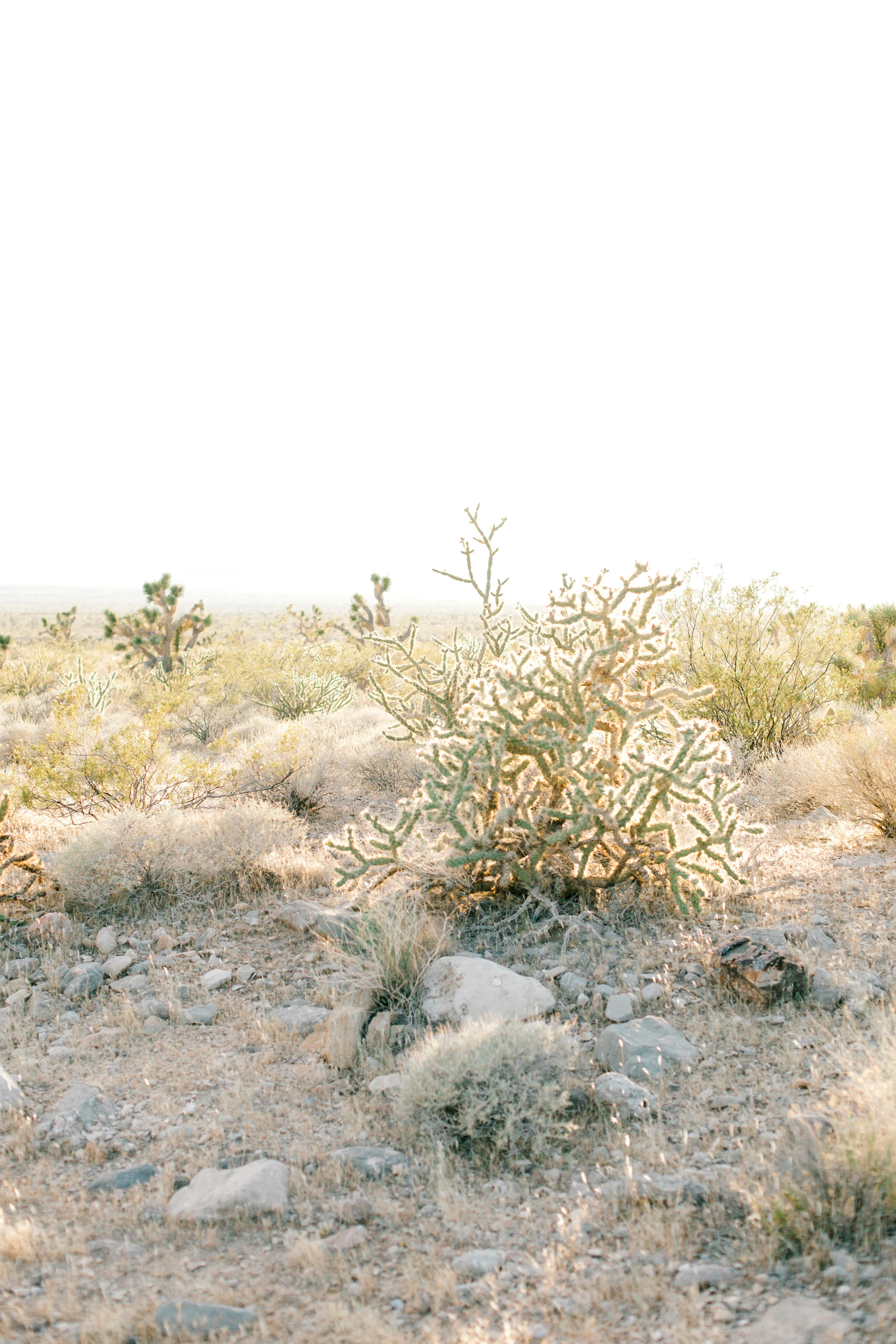 S+KBridals-58.jpg