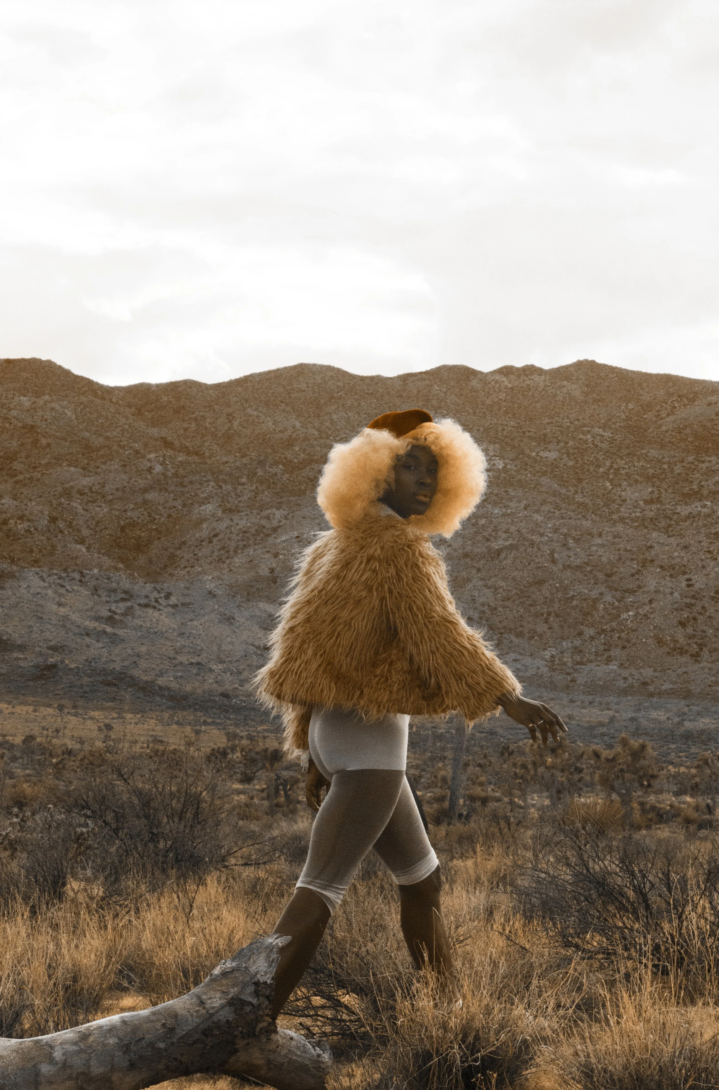 Of the West