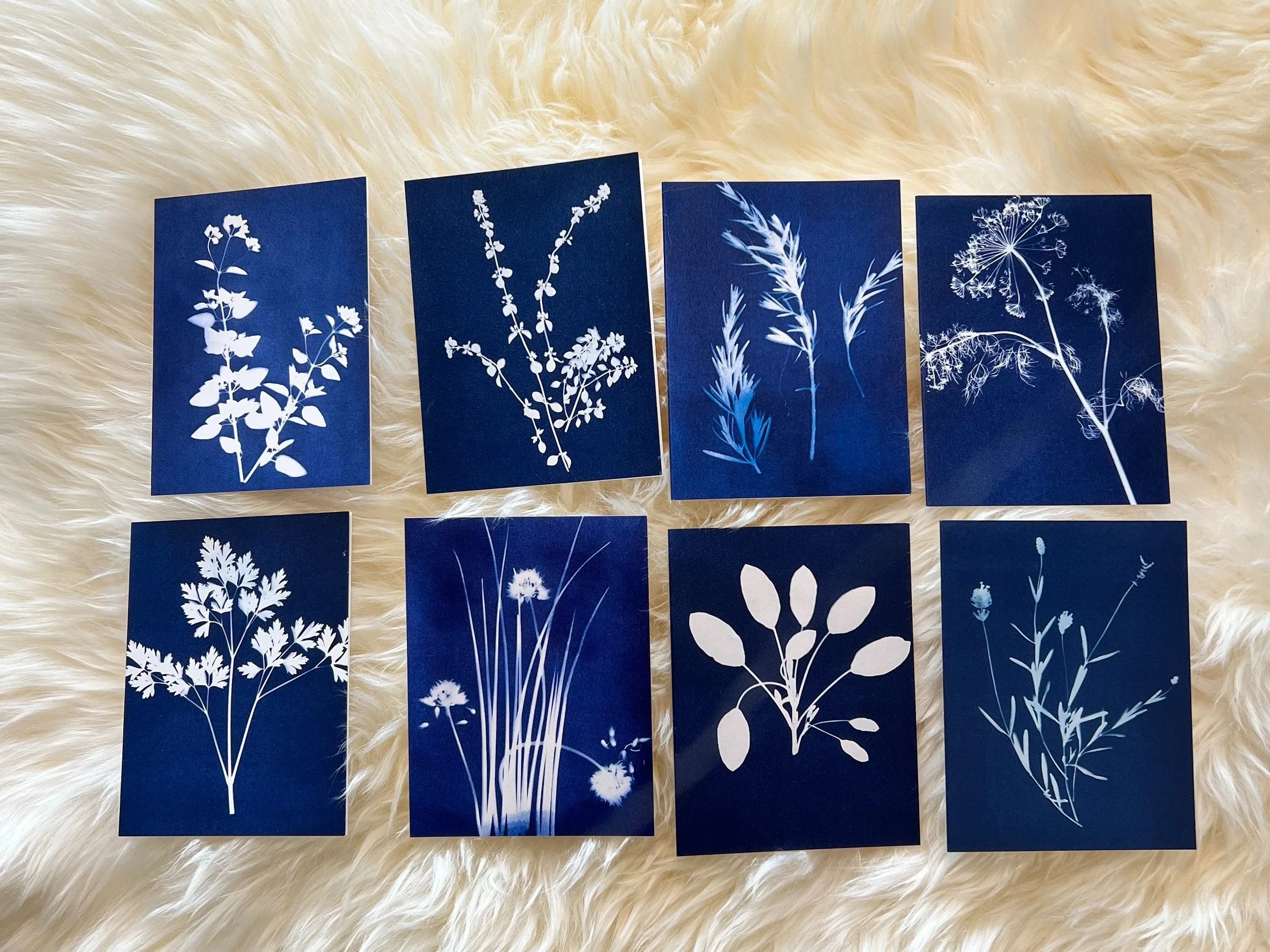 Botanical Cyanotype Greeting Cards