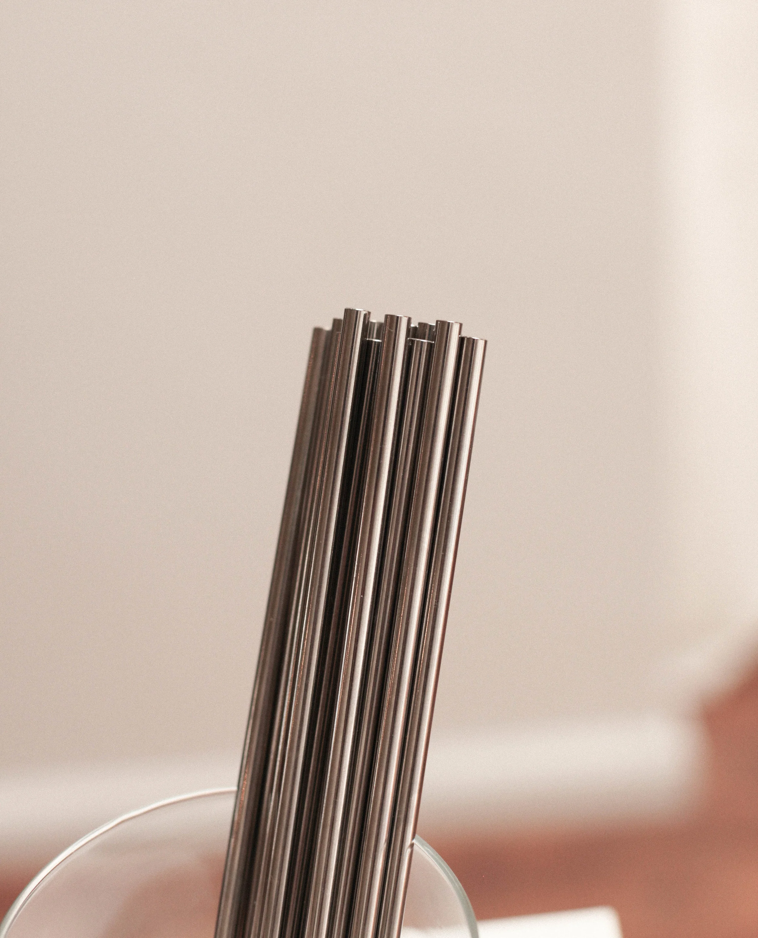 STAINLESS STEEL STRAWS