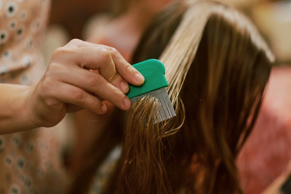 Lice Love — Mom on a Mission