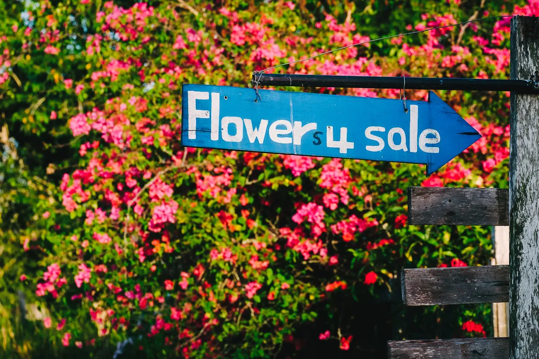 Flowers 4 Sale