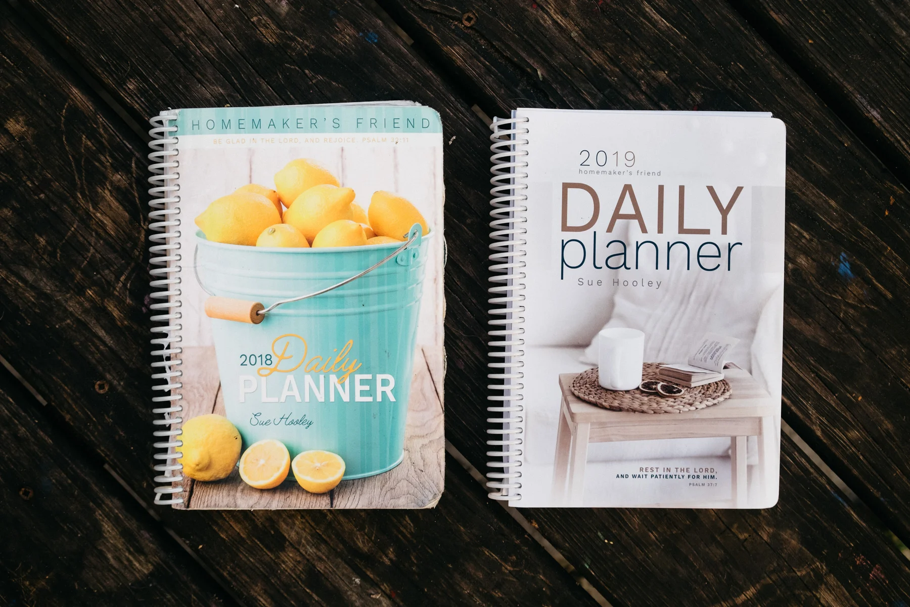 2018 & 2019 Planners side by side