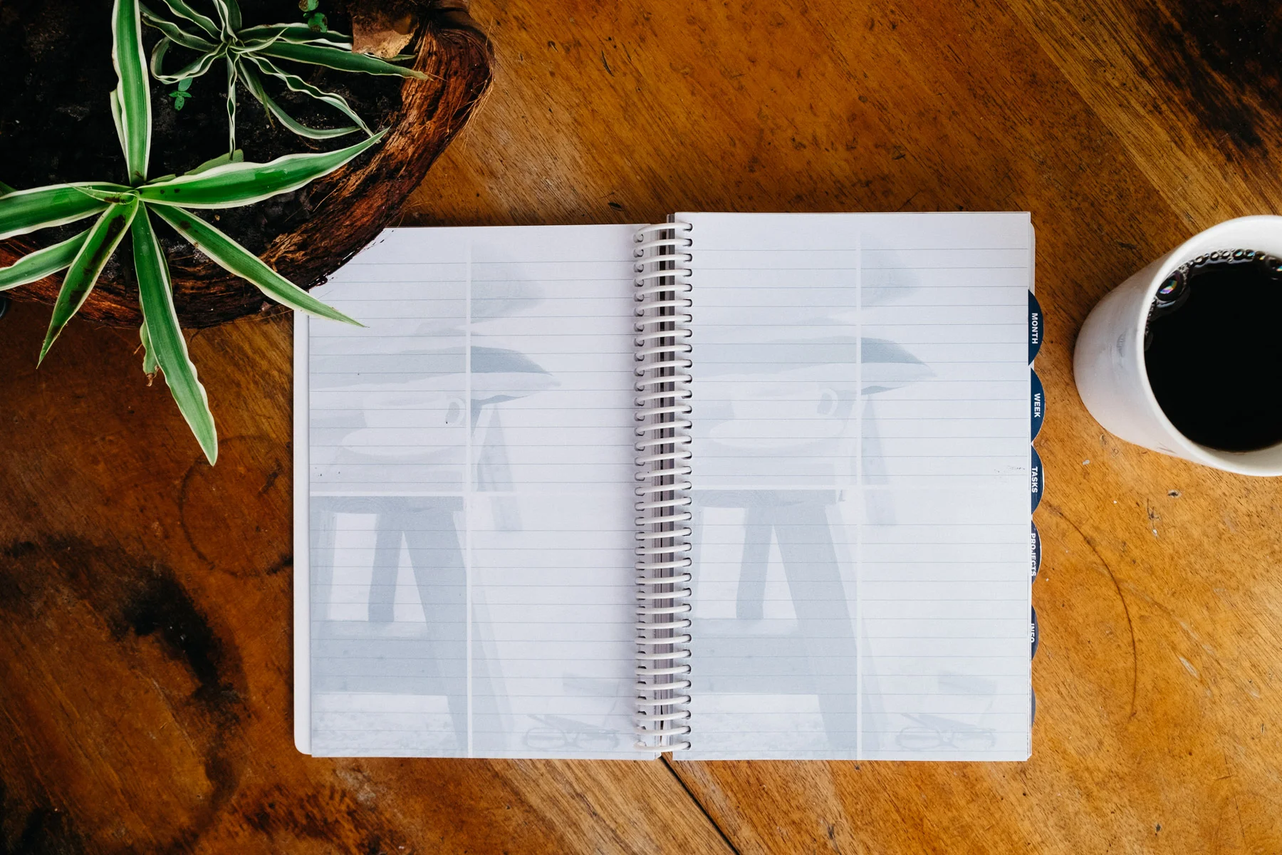 These blank pages would make a great place to journal