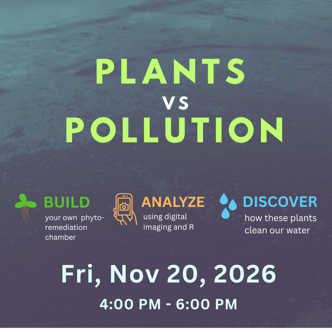 Phytoremediation Workshop.png