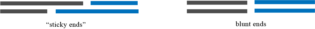 Asset 9@2x.png