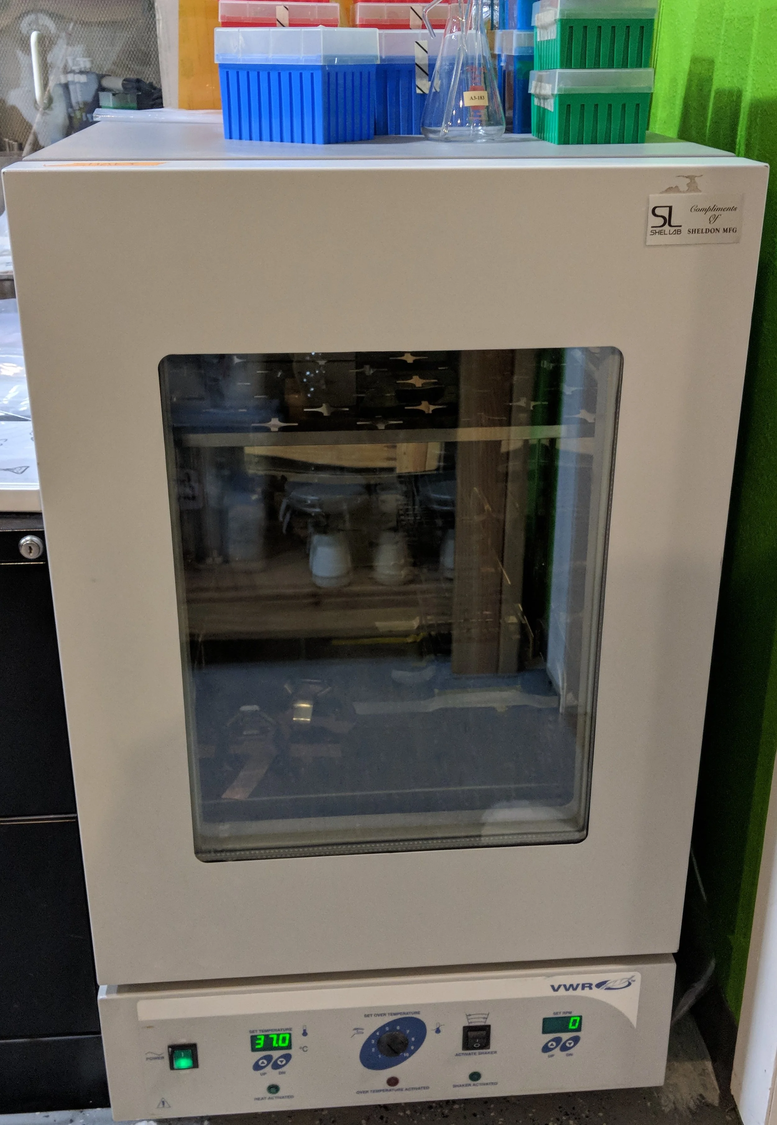 MVIMG_20171129_172520.jpg